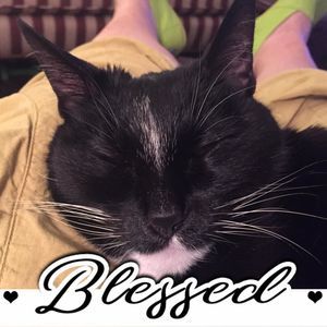 Meet your Posher, Zee